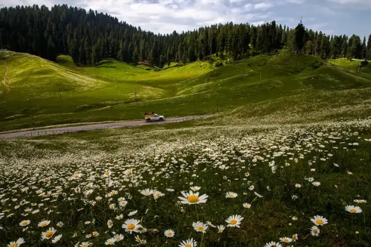 gulmarg